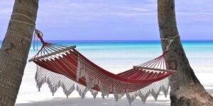 Hammock